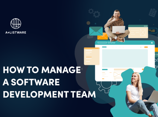 How to manage a team of software developers