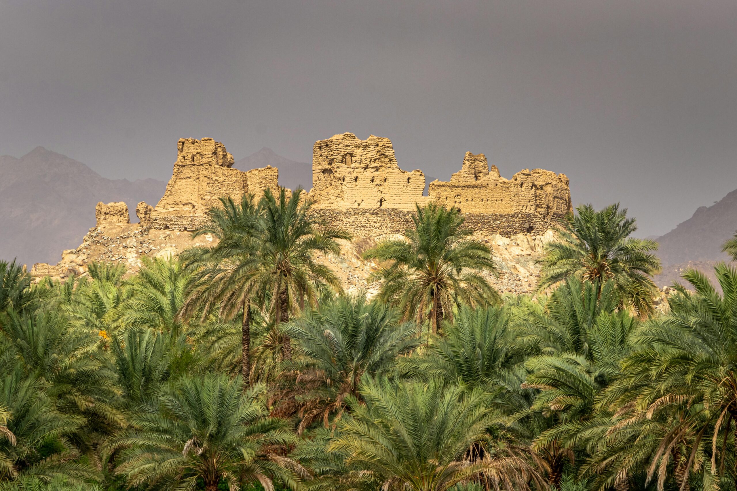 13 Best Cybersecurity Companies in Muscat