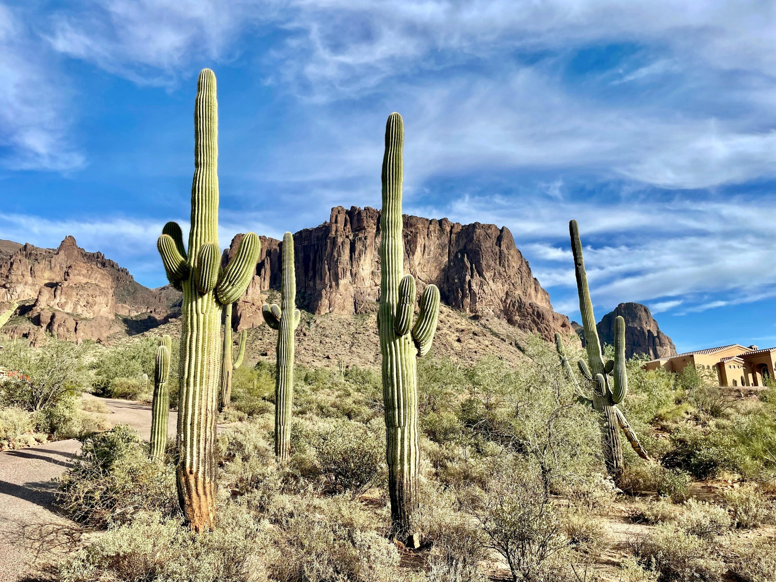 Top 11 Cyber Security Companies in Mesa: Turning Your Business Into Fort Knox!