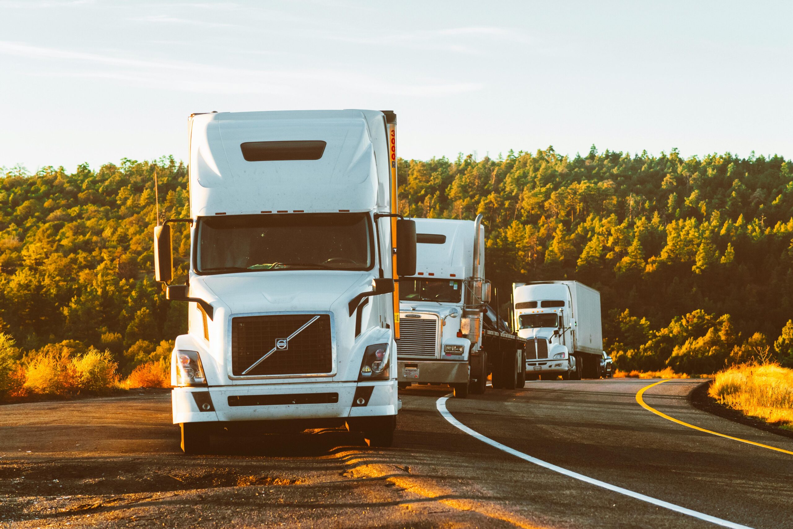 Supply Chain Digitization Companies